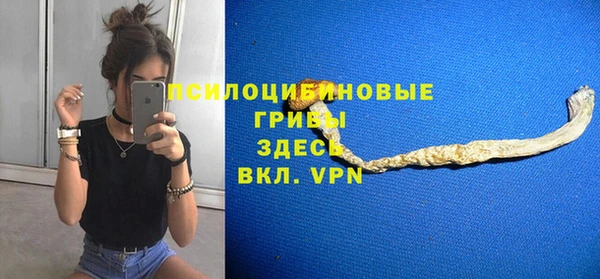 гидропоника Белокуриха