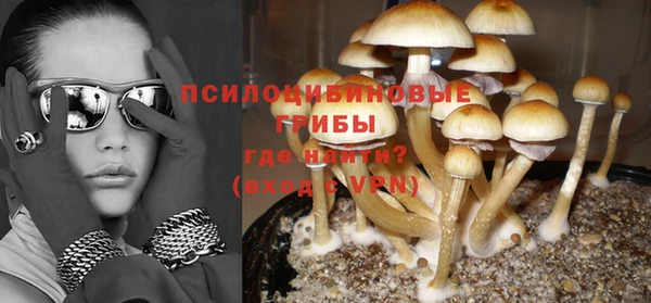 гидропоника Белокуриха