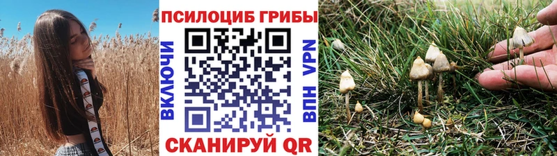 как найти наркотики маркетплейс формула Галлюциногенные грибы мицелий Воскресенск